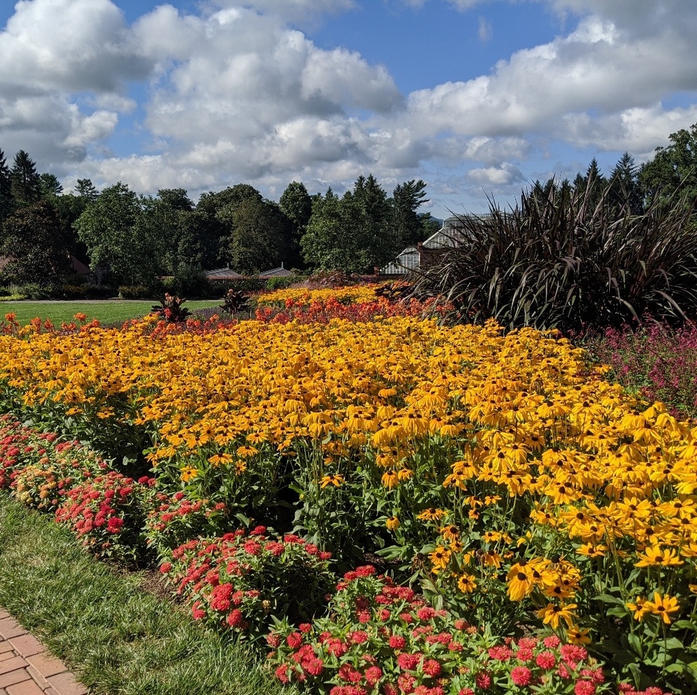 Meet your Posher, Joy
